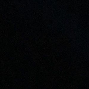 Meet your Posher, Gavin